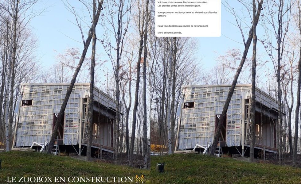 Stevens e Ines finalmente actualizan OD en su cabaña ganada