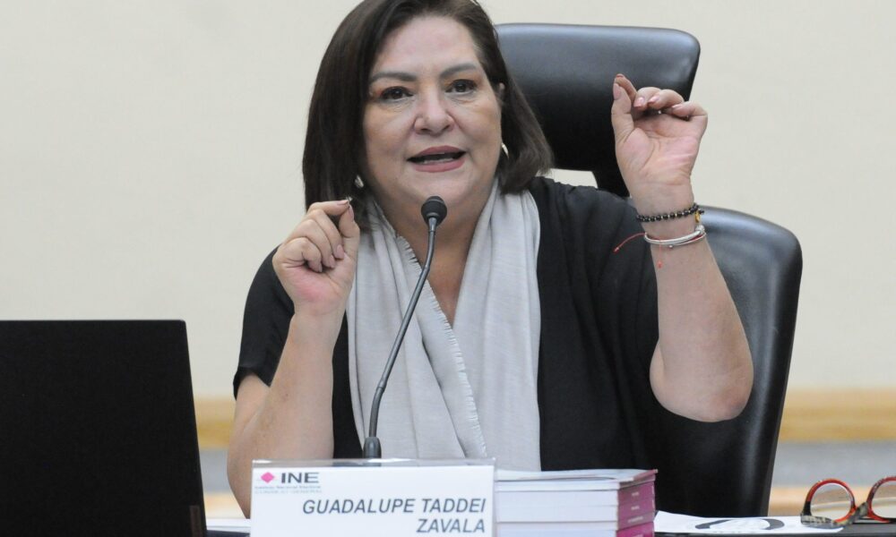 INE aclaró que Guadalupe Taddei no tendrá redes sociales tras detectar cuentas falsas de Twitter