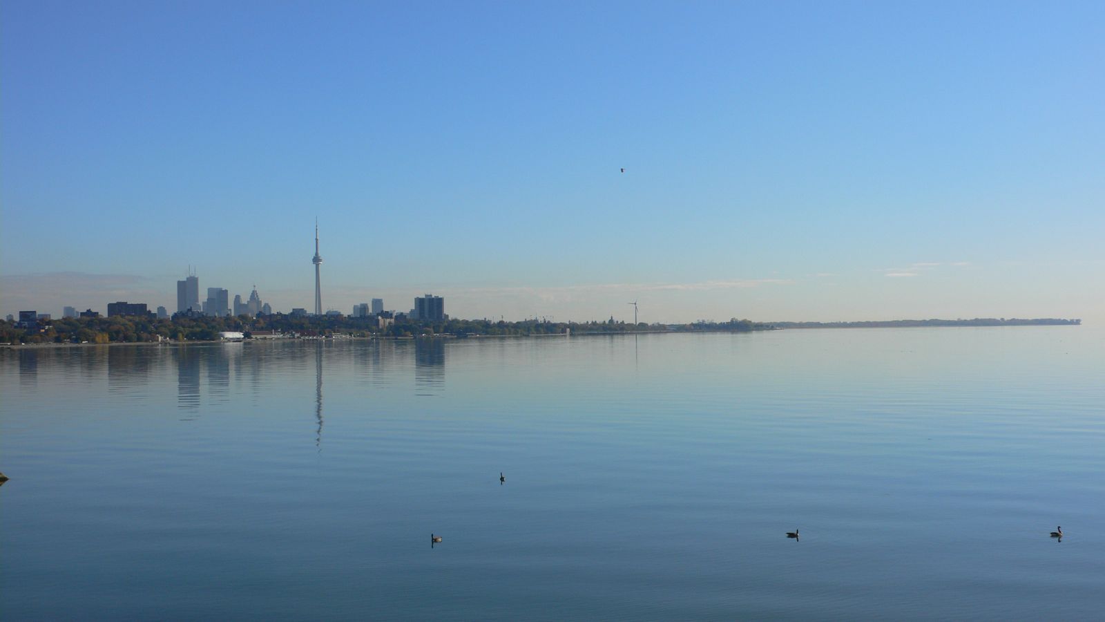Panorama de Toronto con la Torre CN durante el otoño.